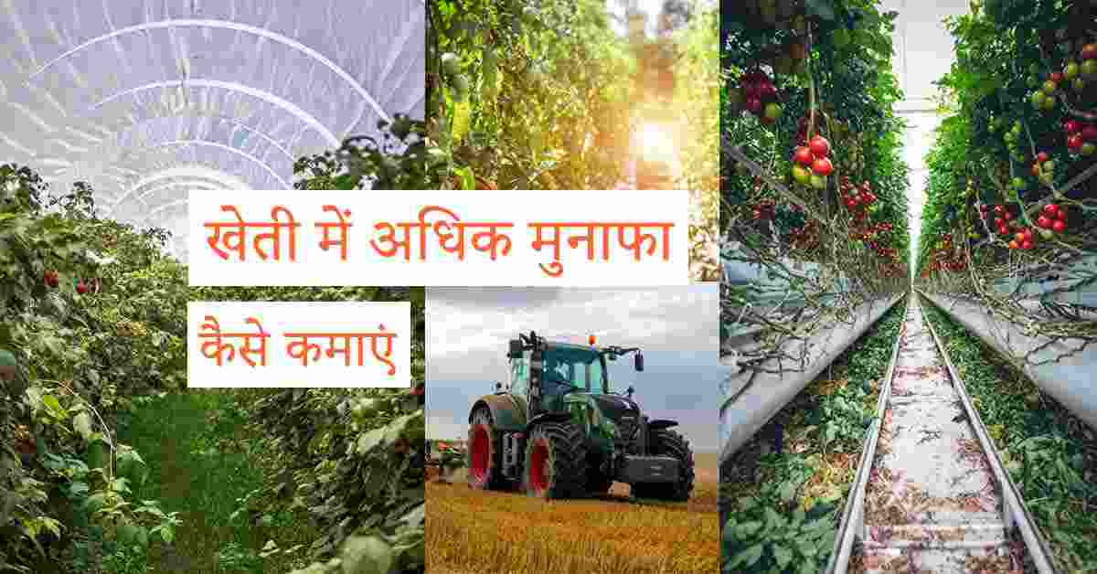 Get more profit in farming hindi